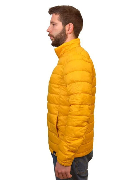 17121