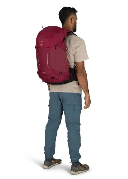 24531